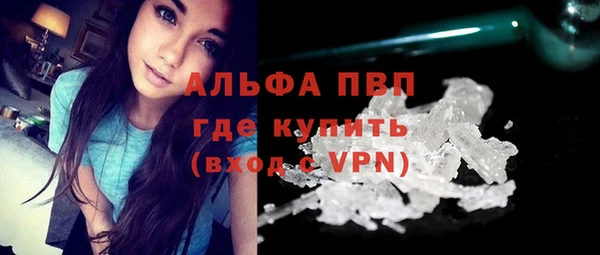 сатива Осташков