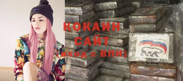 сатива Осташков