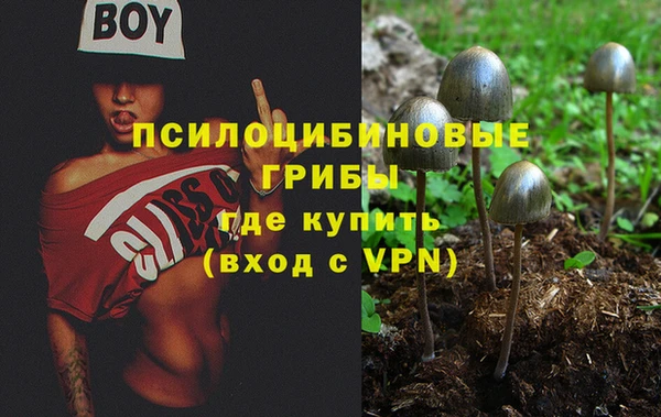 стаф Армянск
